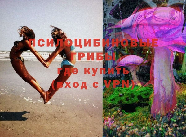 Альфа ПВП Алзамай